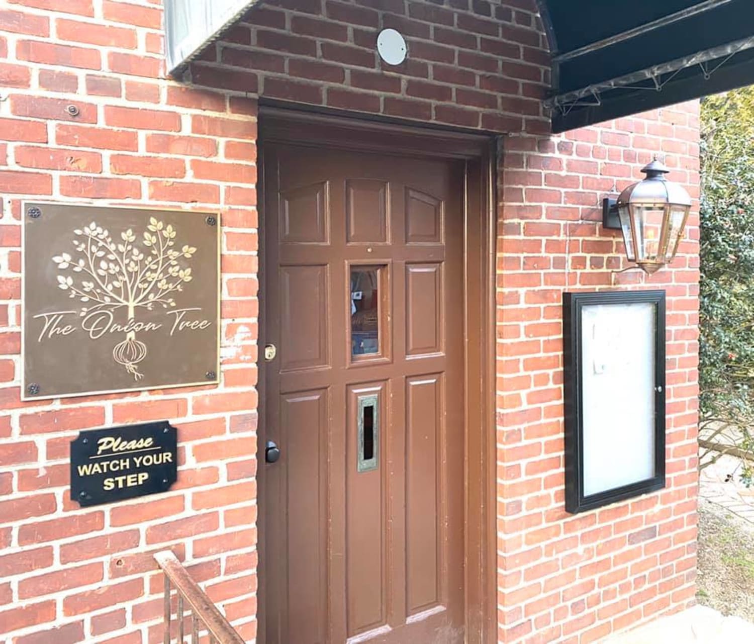 The Onion Tree Where Heritage Meets Innovation