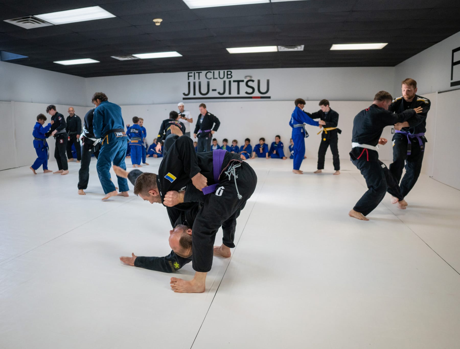 Adult Jiu-Jitsu