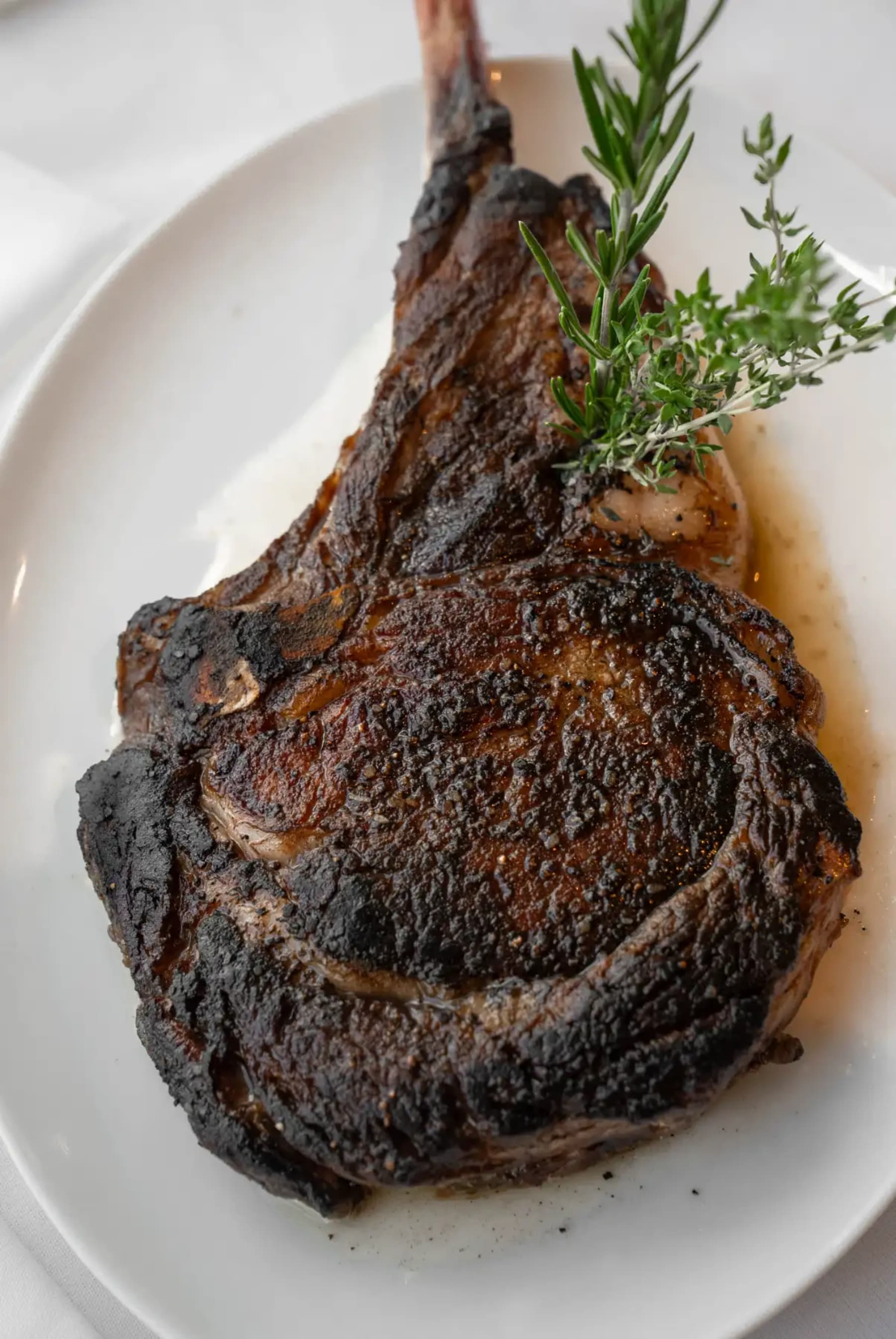 Begin Your Ora Experience