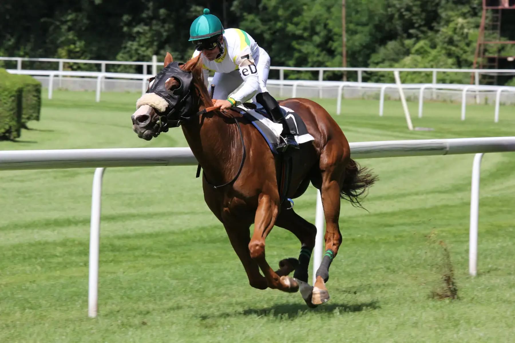 Derby to combine Cinco de Mayo and the Kentucky Derby into one giant event on Saturday