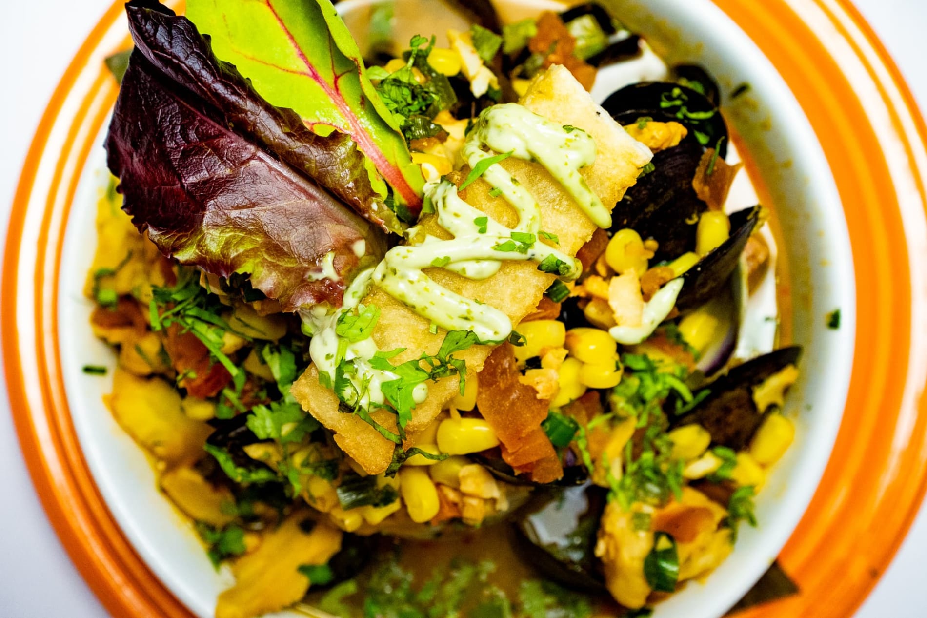 Ola Restaurant Wallingford Home Wallingford