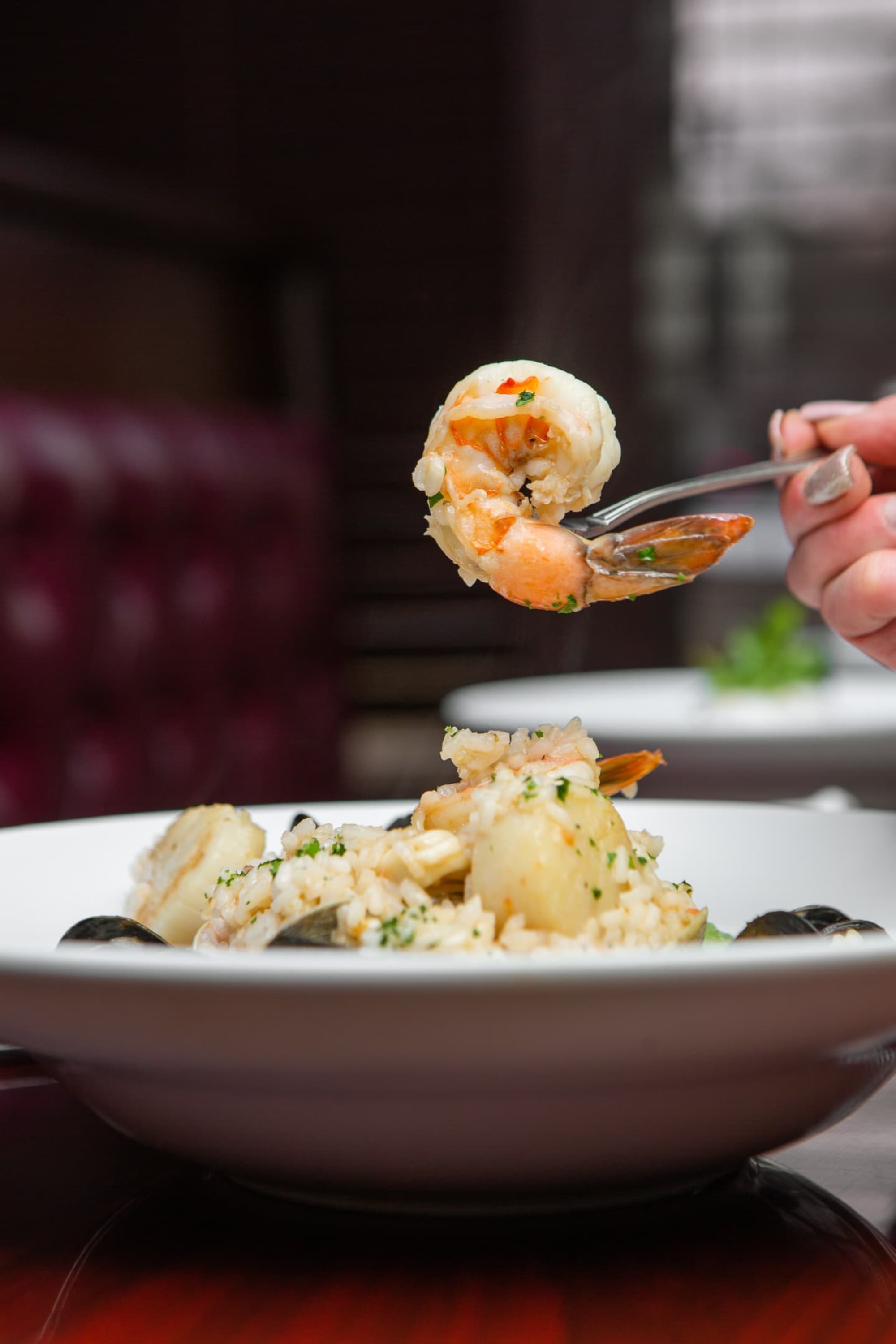 Serafino's Restaurant Bar Cater Menu Wallingford