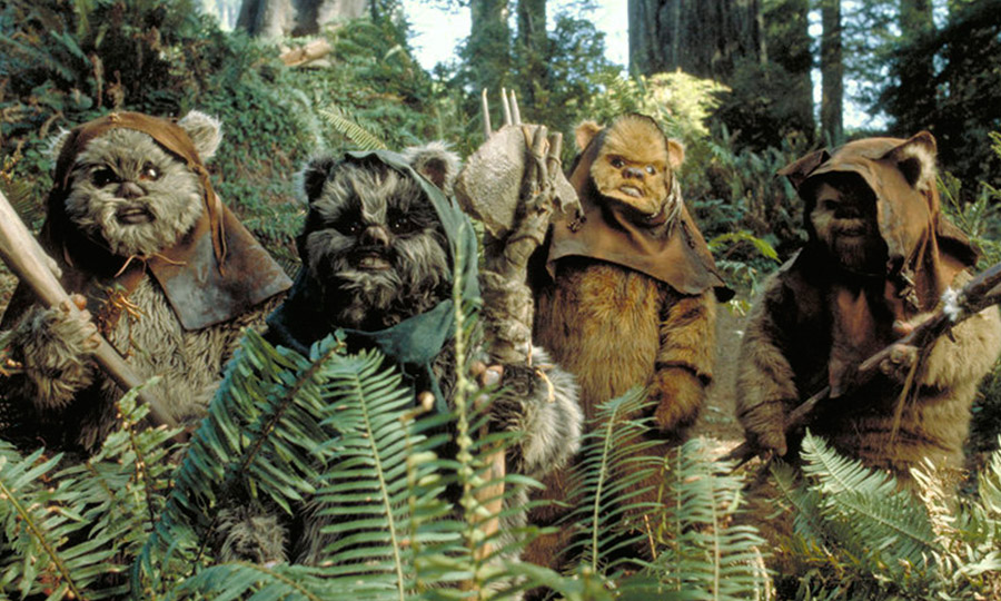 ewok-image