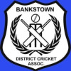 Bankstown District Cricket Association logo