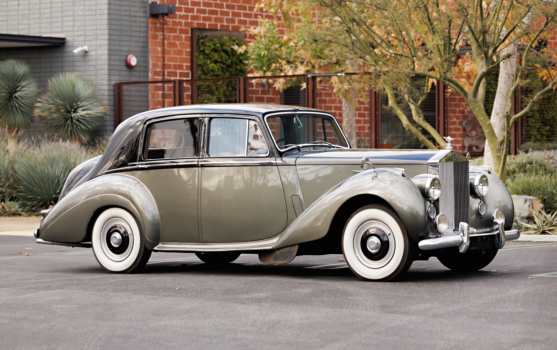 1955 Rolls-Royce Dawn