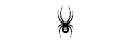 Spyder_coupons