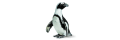 California-academy-of-sciences_coupons