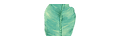 Homegrown-collective_coupons