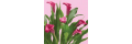 Proplants_coupons