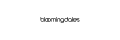 Bloomingdales_coupons