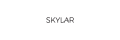 Skylar-body_coupons