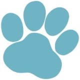 Raw Paws Pet Food coupons Raw Paws Pet Food coupons