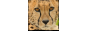 Cincinnati-zoo_coupons