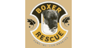 Boxer Rescue LA