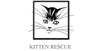 Kitten Rescue