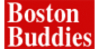 Boston Buddies