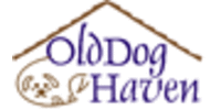 Old Dog Haven