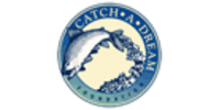 Catch A Dream