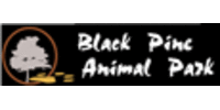 Black Pine Animal Sanctuary