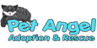 Pet Angel Adoption and Rescue