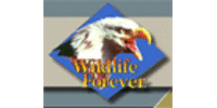 Wildlife Forever