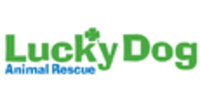 Lucky Dog Animal Rescue