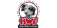 Help Willys Friends