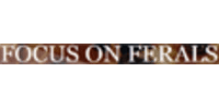 Focus on Ferals