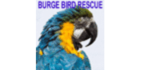 Burge Bird Rescue