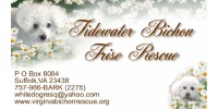 Tidewater Bichon Frise Rescue