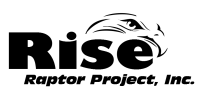Rise Raptor Project