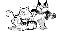 Cat House on the Kings