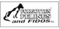 Forgotten Felines and Fidos