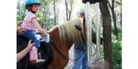 Equine Dreams Equine Assisted Activities