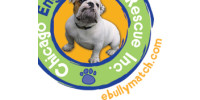 Chicago English Bulldog Rescue - CEBR