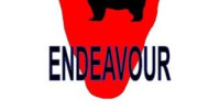 Endeavour Elementary PTO