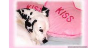 K9's in need of Special Support