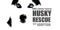 Alleys Rescued Angels