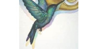 Help building the El Techno Colibri's home