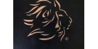 Lionshare A Discipleship Journey Children's Edition