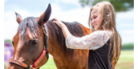 Massachusetts 4-H Horse Program