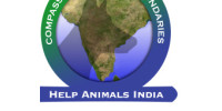 Help Animals India