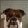 Roxanne