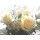 Roseann