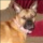 Amy