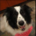 Addie