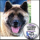 Akita