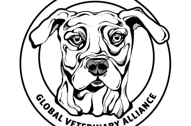 B6c48eksnnao2fubqsot