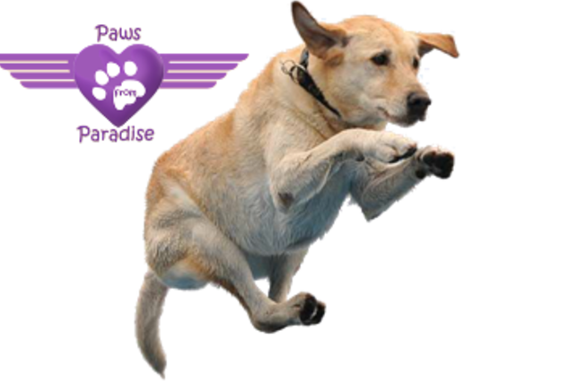 Ty8ufkj3lkmpxhgyrgbu