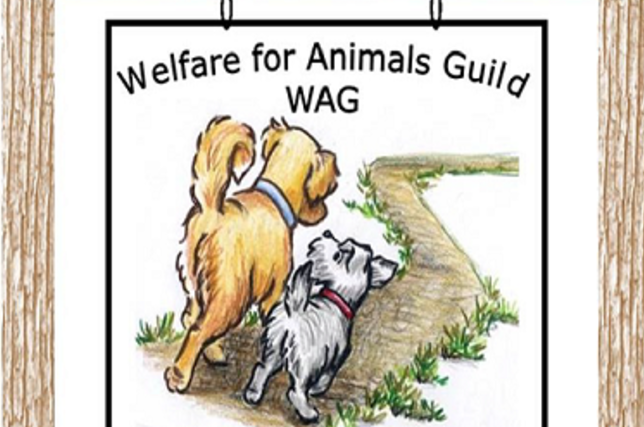 Ljzuprh4wemfoqia1ujc